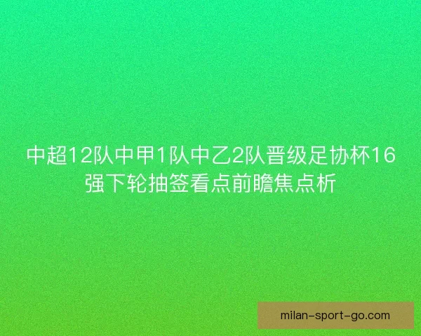 中超12队中甲1队中乙2队晋级足协杯16强下轮抽签看点前瞻焦点析